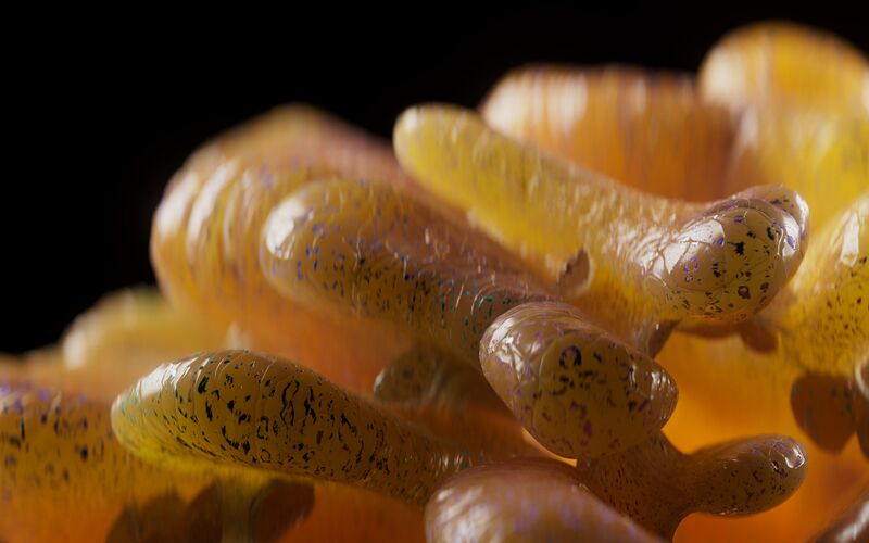 File:2022 09 13 rwSSS 003.jpg