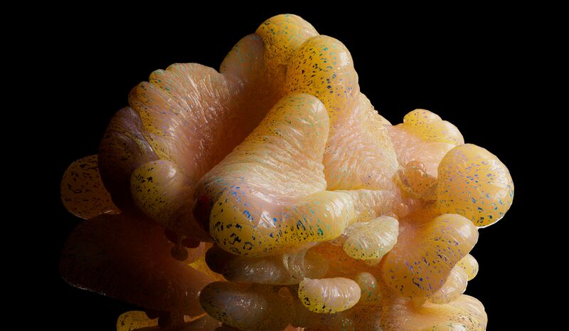 File:2022 09 13 random walk4.jpeg